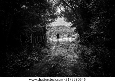 Similar – Man walking along the jetty