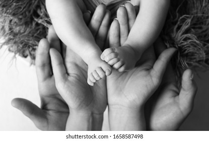 Manos Papas E Hijo Imagenes Fotos De Stock Y Vectores Shutterstock