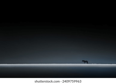 Black and White Photo of a Horse Standing in the Distance in the Snowy Icelandic Fields at Night. Amazing Wild Nature of Iceland...