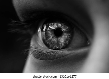 A black and white photo of the human eye.