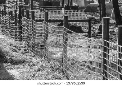 Black And White Photo Of An Ice Covered Woven Wire Fencing After An Early Winter Storm At A  Small Farm In Virginia.