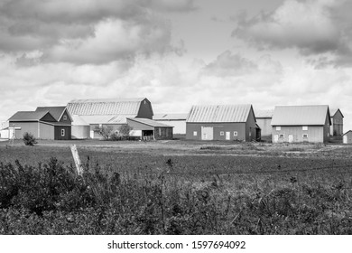 A Black And White Photo Of A Large Collection Of Barns In Bright Sunlight Near Farm Fields Under Storm Clouds.