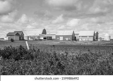 A Black And White Photo Of A Large Collection Of Old Wooden Barns In Bright Sunlight Near Farm Fields Under Storm Clouds Viewed From A Road.