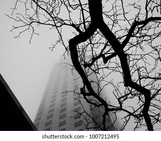 A Black And White Photo, Looking Up At A High-rise Apartment Building. The Scene Is Foggy And Dead Branches From A Bare Tree Hang Overhead. 