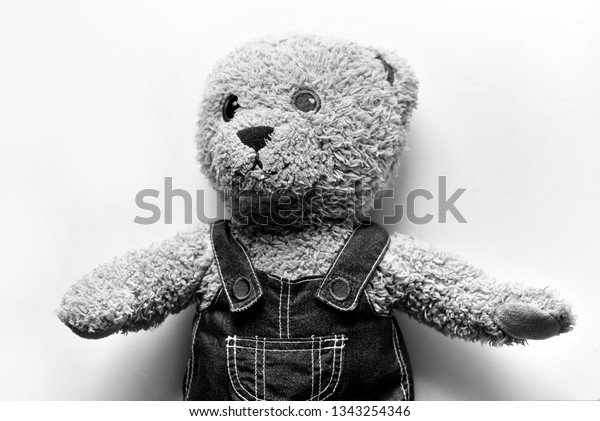 black teddy bear pics