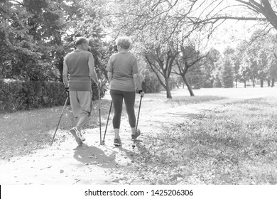 Black And White Photo Of Rear View Of Senior Couple With Hiking Poles Walking In Park