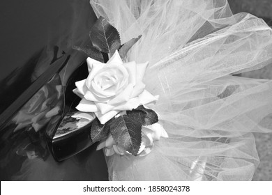 Black And White Photo, White Rose Flower, Bow On The Door Handle Of A Wedding Car