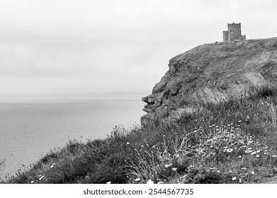 Black and white photo of a rugged coastal cliff with a stone tower atop, overlooking the calm sea. Wildflowers and grasses dot the cliff, enhancing the natural beauty of the scene. - Powered by Shutterstock