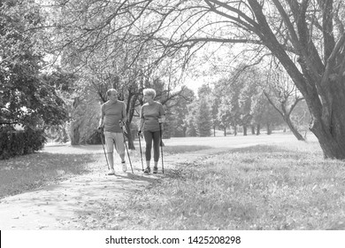 Black And White Photo Of Senior Couple With Hiking Poles Walking On Footpath In Park