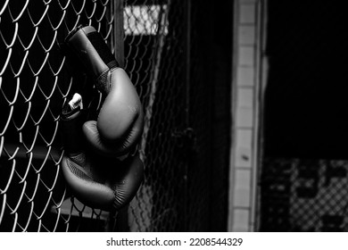 black and white photo showing boxing gloves