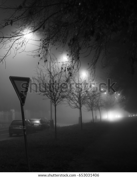 A black and white photo of a\
street at night with street lights shining behind the\
trees.