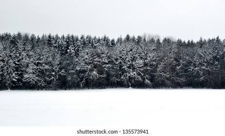 Black and white photo of winter landscape with forest