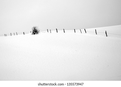 Black and white photo of winter landscape with fence and tree