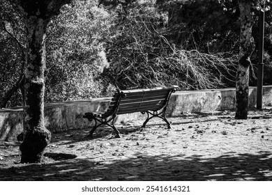 Black and white photo of a wooden bench in a quiet and relaxing spot to enjoy the mountain view - Powered by Shutterstock