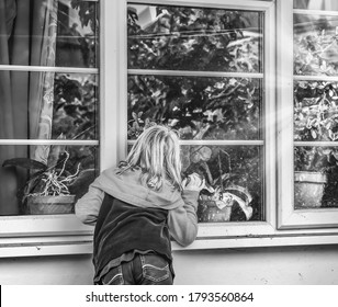 660 Peering Through Window Images, Stock Photos & Vectors | Shutterstock