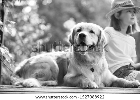 Similar – Pretty blond woman with her two dogs