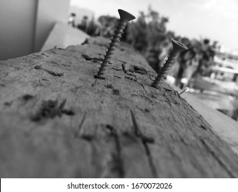 Black And White Photograph Of A Log With Screw