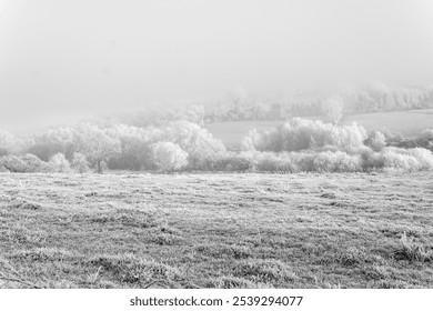 A black and white photograph of a misty, frost-covered rural landscape. - Powered by Shutterstock