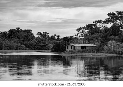 Black and white photograph of an old wooden house isolated on the banks of a river in the Amazon surrounded by trees and bushes. - Powered by Shutterstock