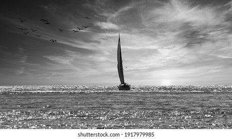 58.246 Boats Sea White Black Stockfotos, Bilder und Fotografie