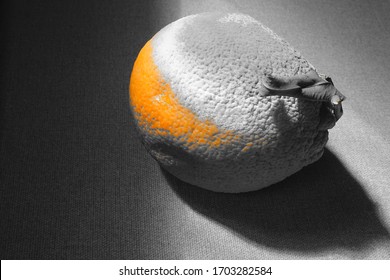 A Black And White Photography Of The Cara Cara Navel Orange.