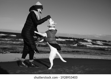 Black White Photography Girl Playing Dog Stock Photo 1928953403 ...