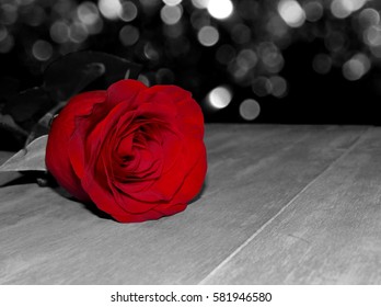 black and white photography with red rose
