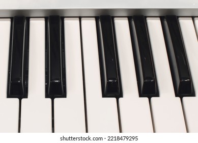 Black And White Piano Keys. Piano Keys