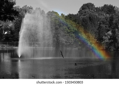 Black And White Picture Of A Pond With Fountain And Only The Rainbow In The Water In Colour