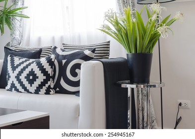 Black And White Pillows On White Sofa With Vase Of Plant In Living Room