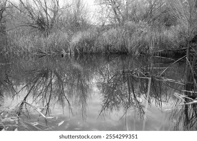 black and white pond moody reflective - Powered by Shutterstock