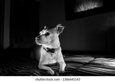 12,174 Small dark room Images, Stock Photos & Vectors | Shutterstock