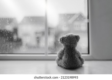 Black and white Rear view Lonely bear doll sitting alone looking out of window, Sad teddy bear sitting next to window in rainy day, lost toy, Loneliness concept, International missing Children day - Powered by Shutterstock