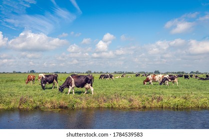 28,686 South holland Images, Stock Photos & Vectors | Shutterstock