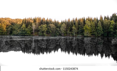 black and white reflection of trees in a forest lake