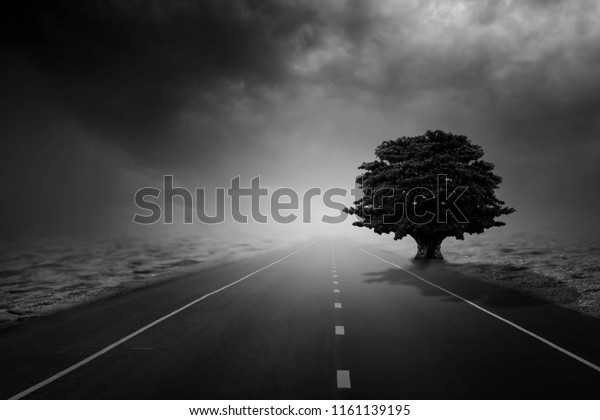 Black and White Roads Cut Through the Desert During\
a Rain Storm