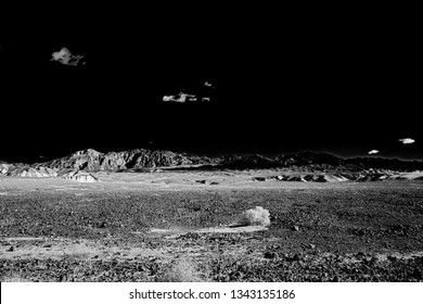 Black and white, rocky desert landscape with sparse vegetation, detailed mountains beyond under black sky. - Powered by Shutterstock