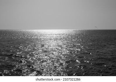 Black And White Sea Water Horizon Line. Seawater Surface Texture