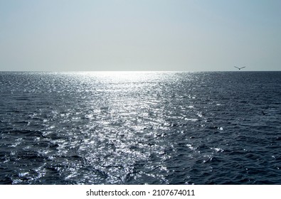 Black And White Sea Water Horizon Line. Seawater Surface Texture