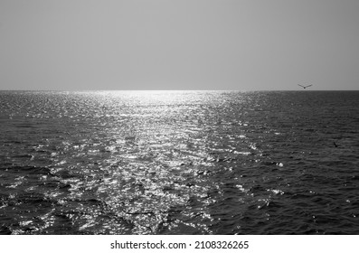 Black And White Sea Water Horizon Line. Seawater Surface Texture