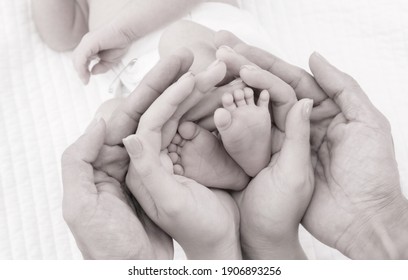 Black And White Shade Beautiful Shape Hands Of Father, Mother, Hold Tiny Newborn Baby Feet On White Bed With Love, Care, Family Safety And Protection, Child With Premature Birth Concept Or NICU Care