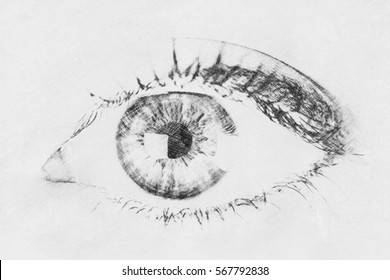 Human Eye Anatomy Images, Stock Photos & Vectors | Shutterstock