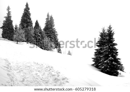 Similar – Image, Stock Photo Winter Forest on Speed