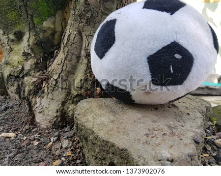 Black and white soccer ball on the stone near the tree.
