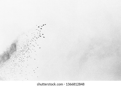 Black and white splashing powder  isolated on white background  - Shutterstock ID 1366812848