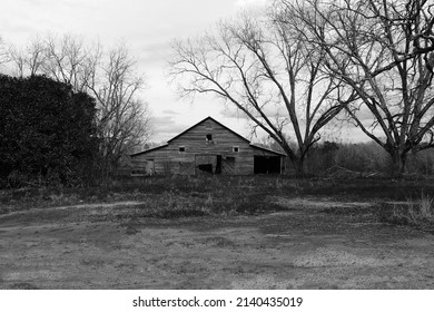 A Black And White Spooky Barn Haunted Old Barn Farm Scene Halloween Landscape