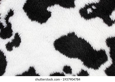 Black And White Spotted Cow Skin Background