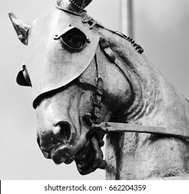 Black And White Study Close Up Of Joan Of Arc War Horse Statue Abstract Power New Orleans