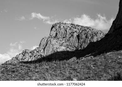 Black White Study Sonoran Desert Landscape Stock Photo 1177062424 ...