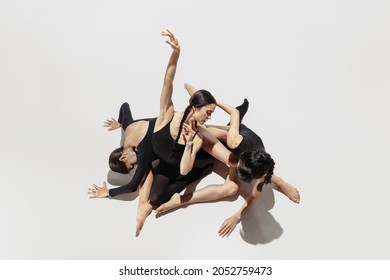 Black and white swallows. High angle view of group of modern female ballet dancers, art contemp dance, bw colors as combination of emotions. Concept of art, beauty, fashion, diversity, feminism